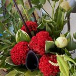 鶏頭（けいとう）