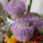 ギガンジューム