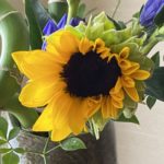 向日葵🌻（ヒマワリ）
