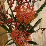 ピンクッション