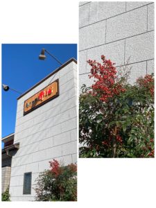 南天（ナンテン）